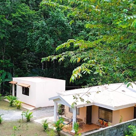 Alma Del Bosque Vacation Home And Apartments Quepos Exterior photo