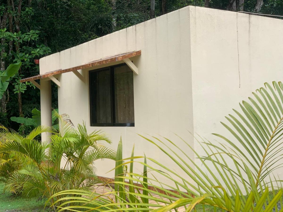 Alma Del Bosque Vacation Home And Apartments Quepos Exterior photo