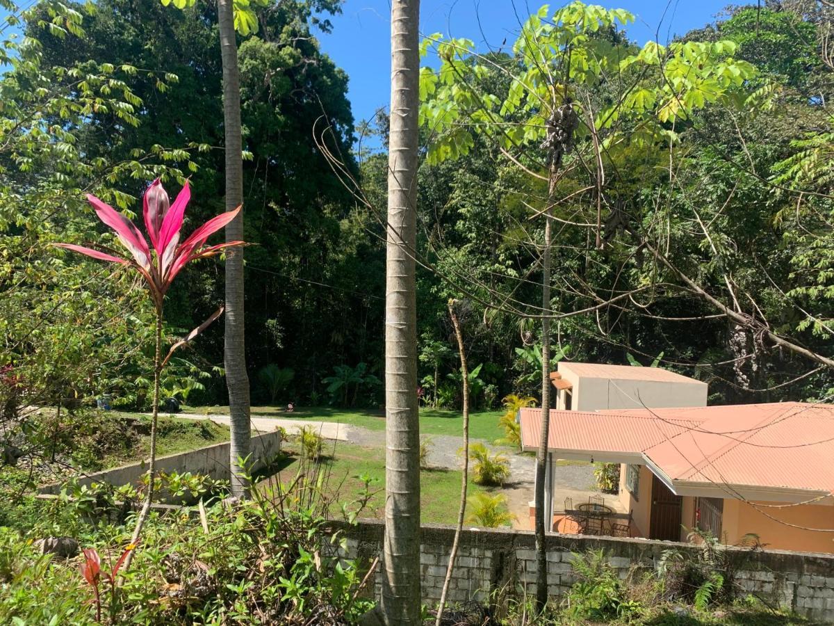 Alma Del Bosque Vacation Home And Apartments Quepos Exterior photo